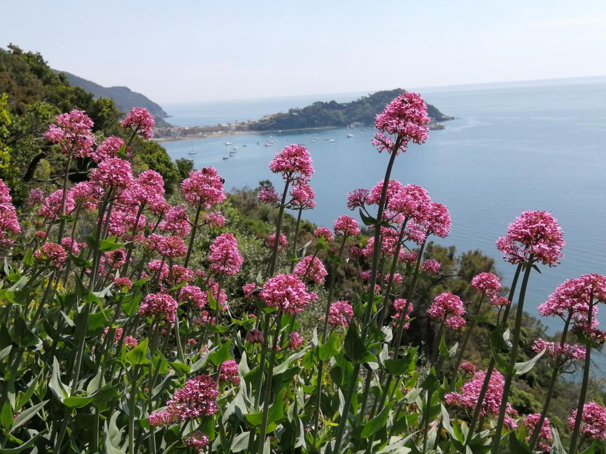La Casetta Nella Citta Dei Due Mari Apartment Sestri Levante